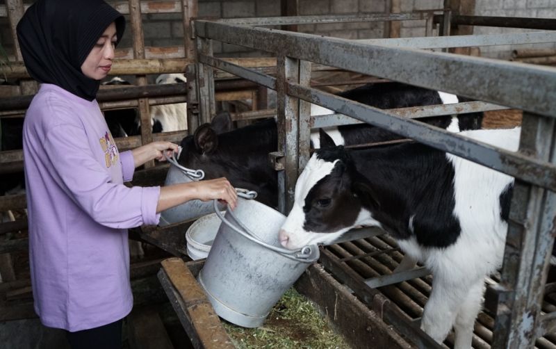 uploads/news/2025/06/nestle-indonesia-dorong-inovasi-6379219c59ac42a.jpeg