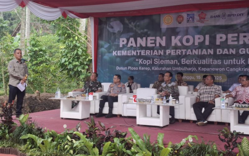 uploads/news/2025/06/panen-perdana-kopi-sleman--120509633bdc271.jpeg