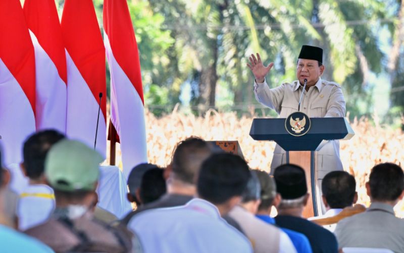 uploads/news/2025/06/pangan-melimpah-prabowo-apresiasi-7198486d43c46e8.jpeg