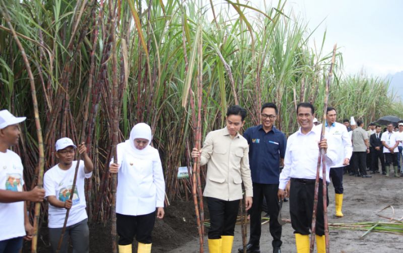 uploads/news/2025/06/pemerintah-dukung-petani-demi-683529e044ea0ed.jpeg