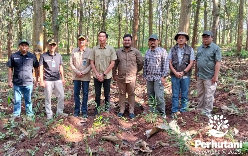 uploads/news/2025/06/perhutani-kembangkan-budidaya-jahe-47121d1898da11c.jpg