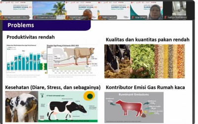 uploads/news/2025/06/tingkatkan-produktivitas-brin-hadirkan-46616b342982cb1_400.jpg