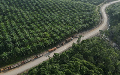 uploads/news/2025/07/lahan-sawit-sitaan-diserahkan-54373e50aeac896_400.jpg