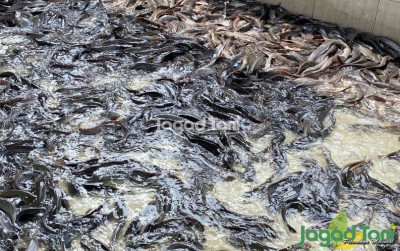 uploads/news/2025/08/akhir-kisah-pendiri-unicorn-700052a4eec3f2f_400.jpg