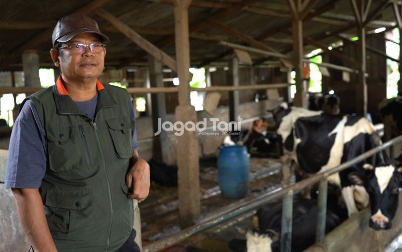 uploads/news/2025/08/atasi-pakan-sapi-dengan-34995ea0ded2b72.jpg