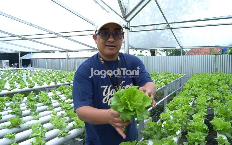 uploads/news/2025/08/berawal-dari-keresahan-ayodha-96853c539a7cb72.jpg