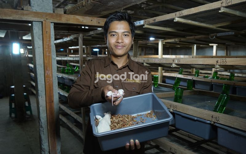 uploads/news/2025/08/bisnis-anti-mainstream-bisnis-979733a794aa452.jpg