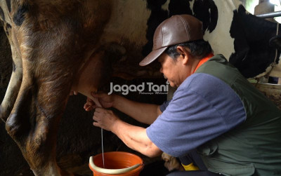 uploads/news/2025/08/cipta-rasa-farm-hasilkan-8222099623a68d2_400.jpg