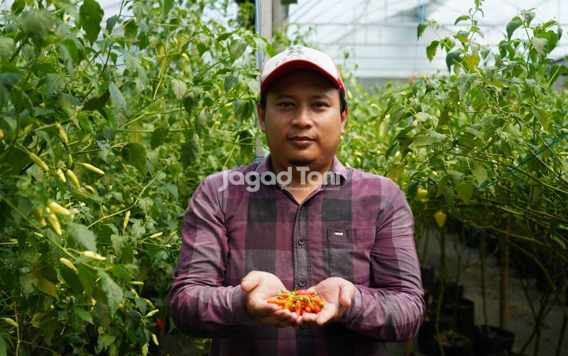 uploads/news/2025/08/green-house-pesantren-hasilkan-19566844bd1bfc6.jpg