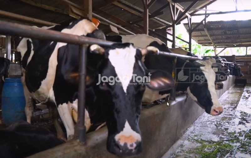 uploads/news/2025/08/ketua-appsi-jawa-barat-49271f20824fa7e.png