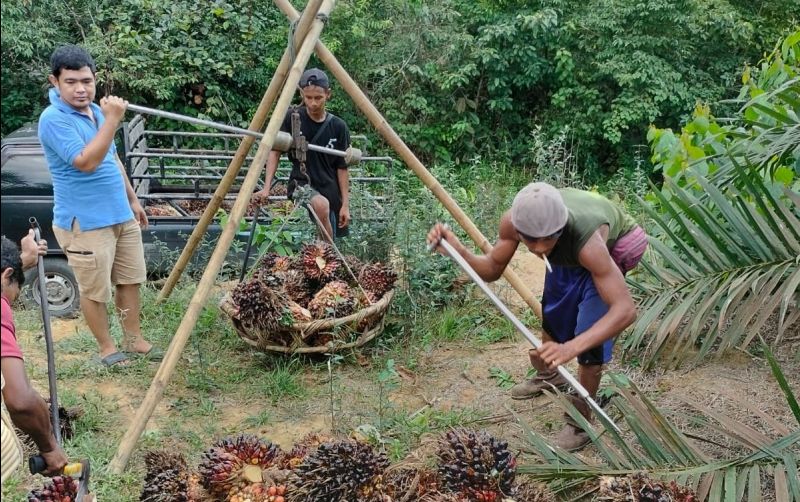 uploads/news/2025/08/kisah-fregia-pristanto-dalam-85669dcf04039ff.jpeg