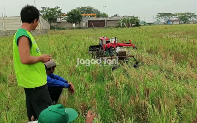 uploads/news/2025/08/kurang-tenaga-petani-muda--98760ad2037a6e0_400.jpg