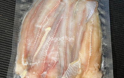 uploads/news/2025/08/lele-fillet-solusi-atasi-811859f5e5e750a_400.jpeg
