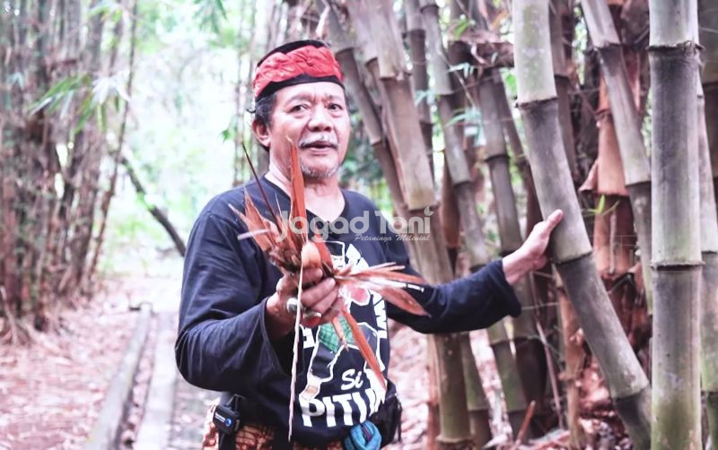uploads/news/2025/08/manfaat-menanam-bambu-bagi-2318386abfec881.jpg
