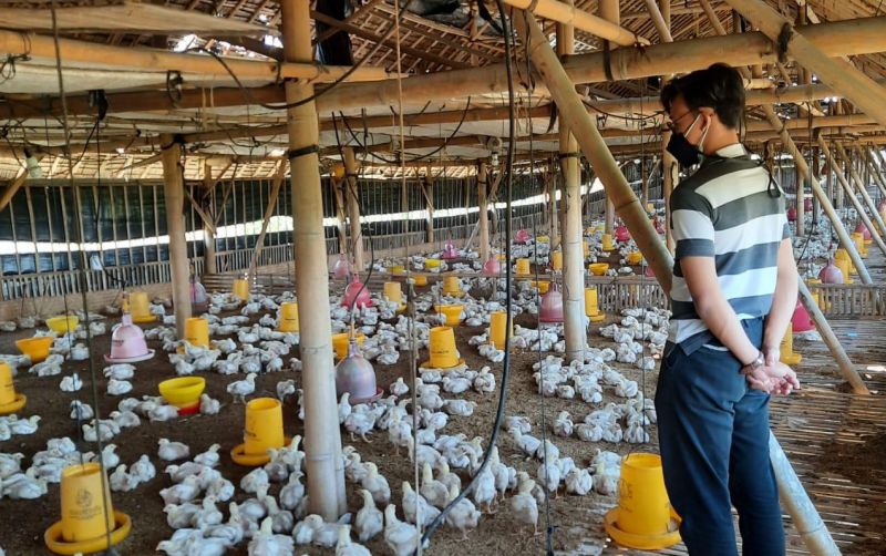 uploads/news/2025/08/menangani-chronic-respiratory-disease-31133563917f1c5.jpeg