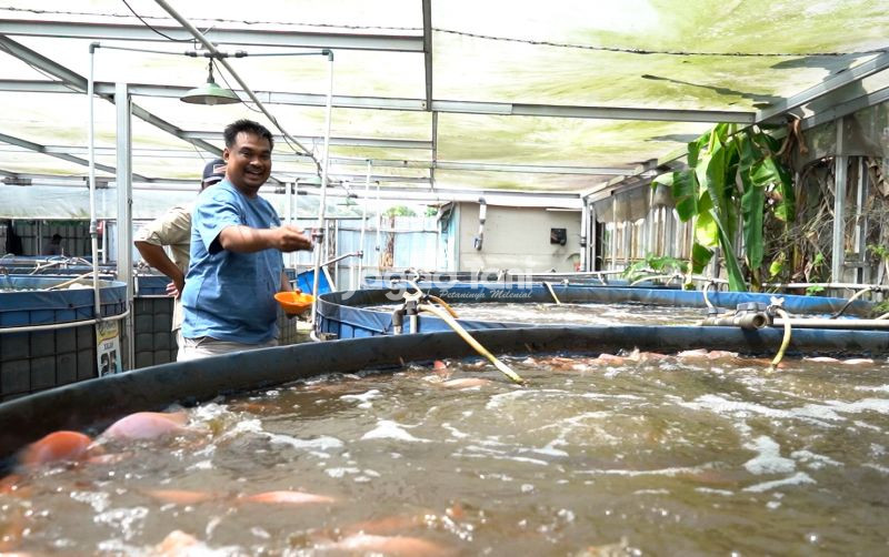 uploads/news/2025/08/terapkan-sistem-bioflok-pembudidaya-5320098e48ba33b.jpg