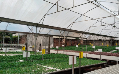 uploads/news/2025/08/upaya-startup-agritech-lokatani-33764e5ee082ab5_400.jpg