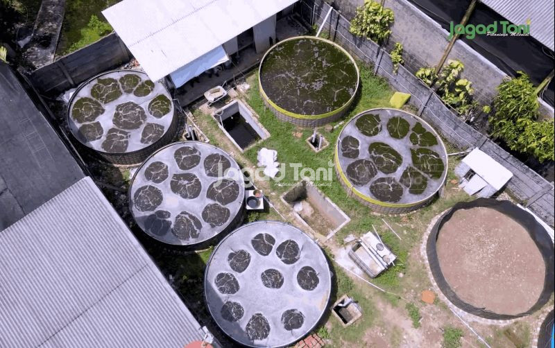 uploads/news/2025/09/hakikat-budidaya-itu-untuk-879628efd2b6642.png