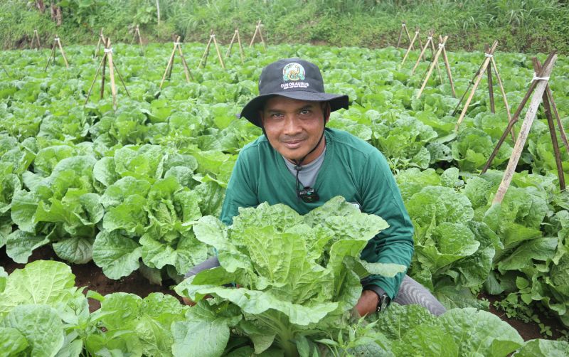 uploads/news/2025/09/hasil-panen-cukup-untuk-380565605b8d50d.jpg