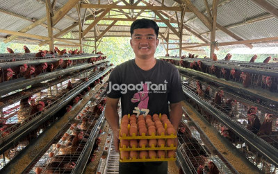 uploads/news/2025/09/hidupi-keluarga-melalui-telur-3576899cadfb1aa_400.jpeg