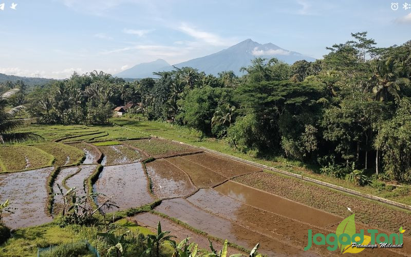 uploads/news/2025/09/indonesia-siapkan-lahan-pertanian-901140e591f542b.jpg