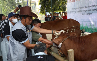 uploads/news/2025/09/jateng-menjadi-pemasok-protein-25380e878b5a1a0_400.jpg