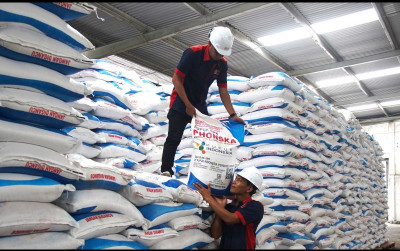 uploads/news/2025/09/jelang-musim-tanam-stok-975372e90f6cbfe_400.jpg