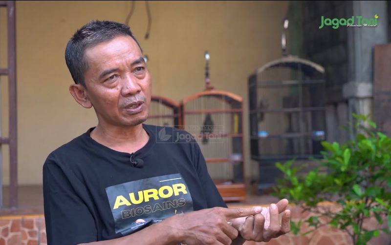 uploads/news/2025/09/kisah-penjual-layangan-jadi-449129029c5f8d5.png