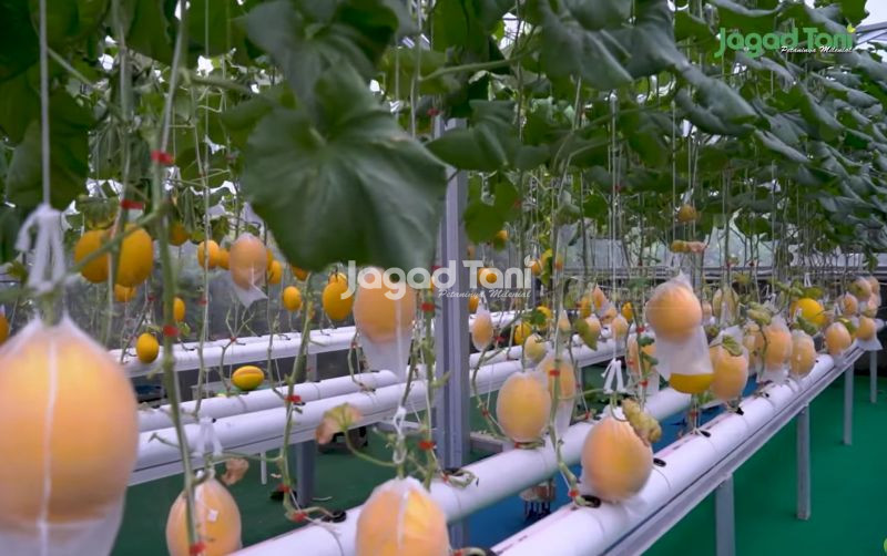 uploads/news/2025/09/lihat-ceruk-pasar-sekitar--215341119fe084b.jpg