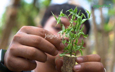 uploads/news/2025/09/menyulam-anting-putri-yang-91619b6024ca8ac_400.png