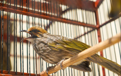 uploads/news/2025/09/pahami-cara-mengatur-birahi-39501fbf0982f5d_400.jpeg
