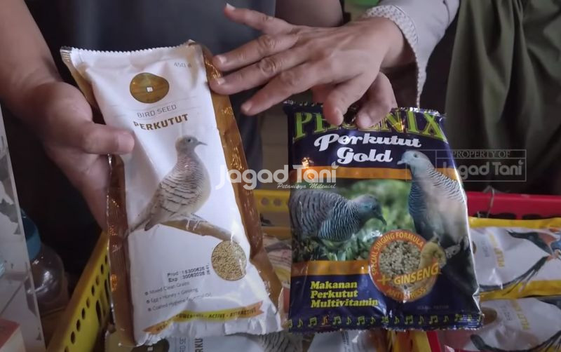 uploads/news/2025/09/pantauan-harga-pakan-burung-4859824cd6c61a8.png