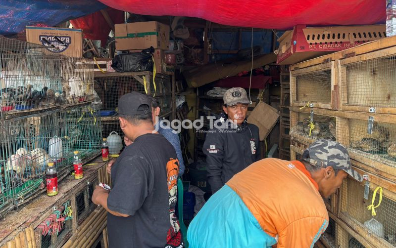 uploads/news/2025/09/pantauan-harga-unggas-di-9879985aa71462f.jpeg