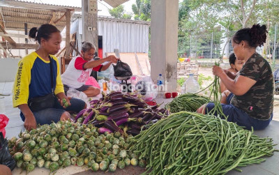 uploads/news/2025/09/petani-jakarta-utara-mulai-51908845a112d36_400.jpg