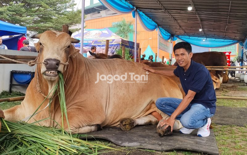 uploads/news/2025/09/po-crossing-raksasa-sapi-1574825d8ca3af8.jpg