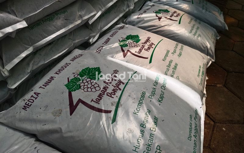 uploads/news/2025/09/saling-menciptakan-peluang-lewat-663047a7d16b552.jpg