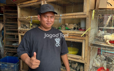 uploads/news/2025/09/unggas-dijual-murah-dan-584103d372168e9_400.jpeg