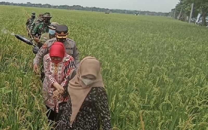 uploads/news/2025/10/bantuan-petani-peternak-cianjur-selatan-1152057ad173a04.png