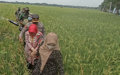 uploads/news/2025/10/bantuan-petani-peternak-cianjur-selatan-1152057ad173a04_400.png
