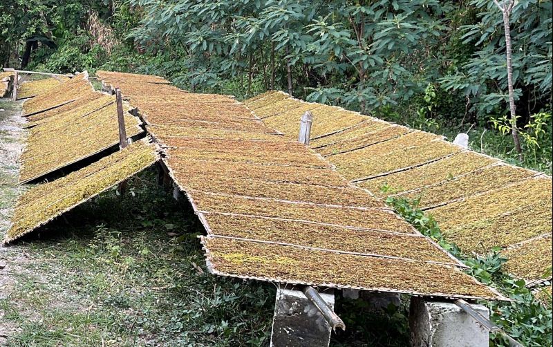 uploads/news/2025/10/cukai-hasil-tembakau-beri-210074fa2b78ce4.jpeg