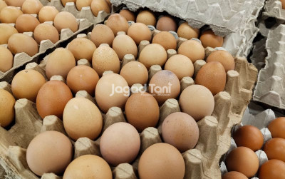 uploads/news/2025/10/harga-telur-di-sejumlah-907642183883396_400.jpg
