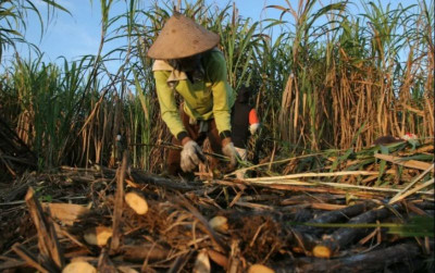 uploads/news/2025/10/indonesia-akan-berguru-bioetanol-25245e2af8a0598_400.png