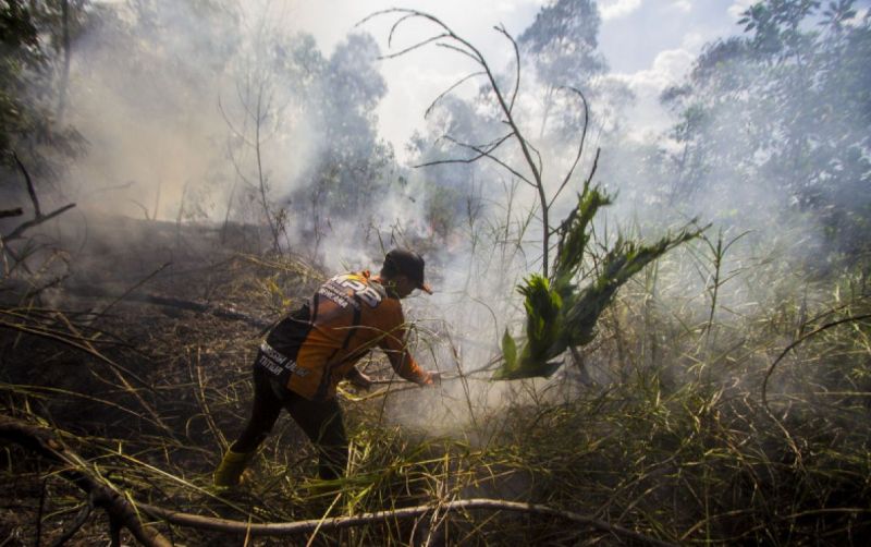 uploads/news/2025/10/jumlah-kebakaran-hutan-dan-592333f369fb77d.jpg
