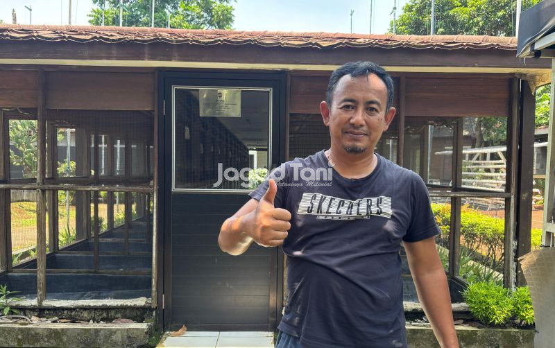uploads/news/2025/10/memilih-perkutut-juara-itu-9822712be2c55d4.jpg
