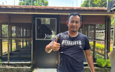 uploads/news/2025/10/memilih-perkutut-juara-itu-9822712be2c55d4_400.jpg
