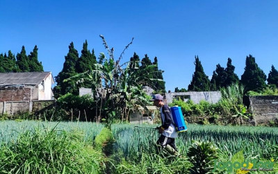uploads/news/2025/10/petani-klaten-dilatih-brin-546599510703d3e_400.jpg