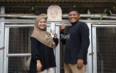 uploads/news/2025/10/resign-kerja-dan-memilih-180541fb59767b3_400.jpeg