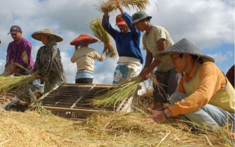 uploads/news/2025/10/serapan-hasil-beras-gabah-merauke-12220677fa4aa0c.png