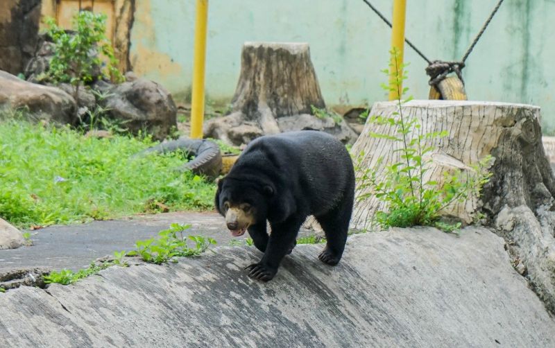 uploads/news/2025/10/taman-margasatwa-ragunan-mulai-3043872d38ccf2e.jpg