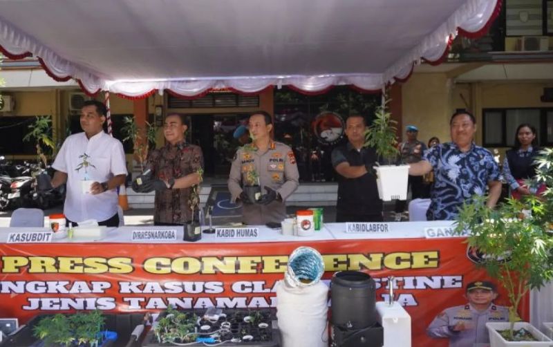 uploads/news/2025/10/tanam-hidroponik-ganja-wna-844378b88a148cc.jpeg